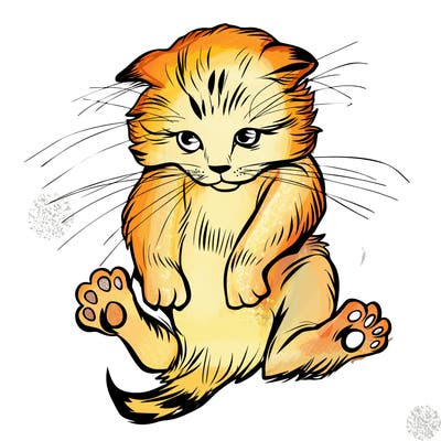 animals_20