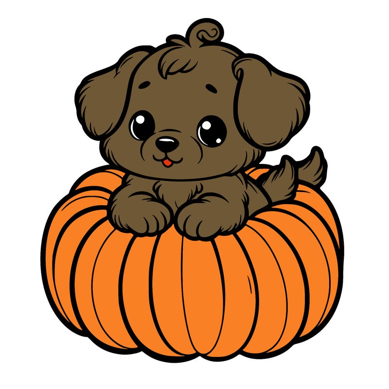 cute little puppy in a pumpkin