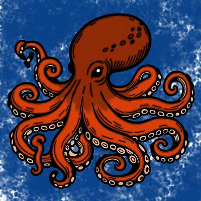 octopus
