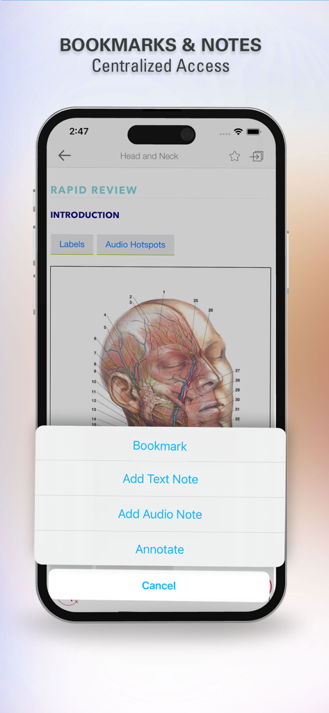 Rapid Review Anatomy Guide - Rapid Review Anatomy Guide app screen showing bookmarks and notes options over a head anatomy diagram