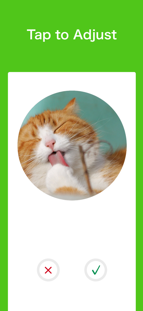 Round Pic Maker: PFP Icon - Round Pic Maker app interface showing a ginger cat in a circular profile picture crop with adjustment buttons