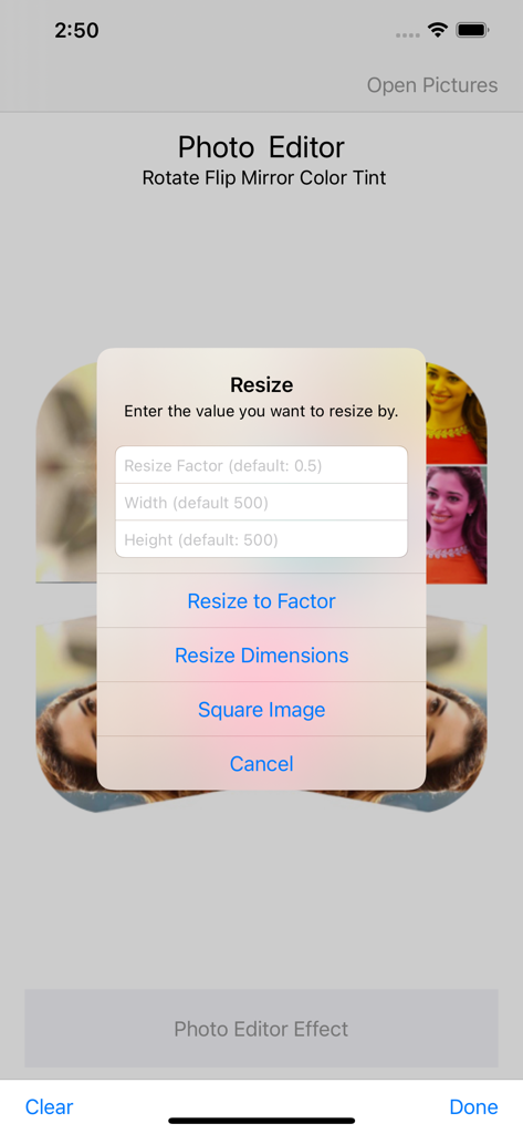 Interface of a photo editing app showing a resize popup menu with options for scale factor and pixel dimensions