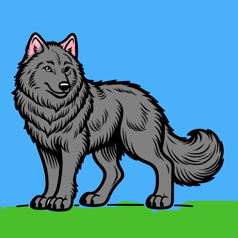 wolf