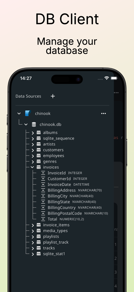 SQL Database Manager DB Client - Uma interface móvel mostrando uma estrutura de banco de dados com esquema de tabela expandido e tipos de dados