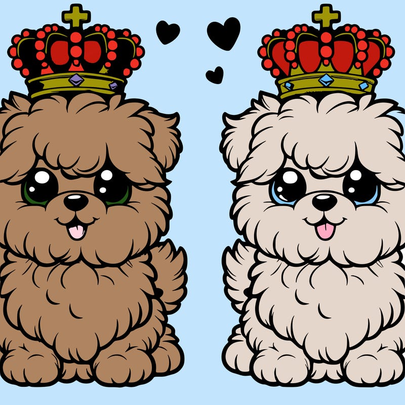 cute hard  colouring fluffy dog with crown