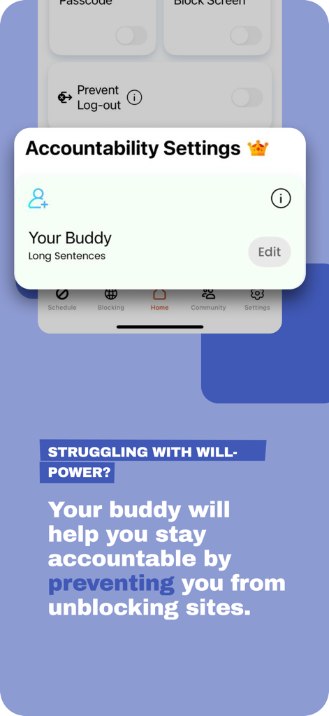 Porn Website Blocker: BlockerX - BlockerX app screenshot showing accountability buddy settings to prevent unblocking websites.