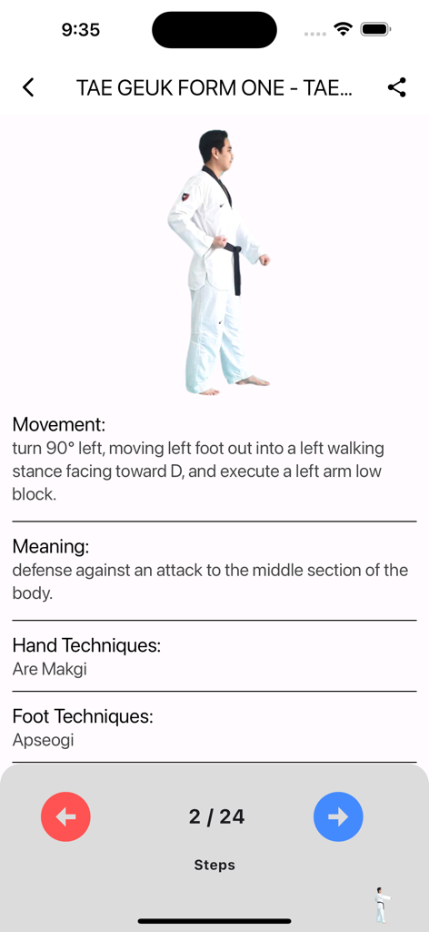 Taekwondo School - Taekwondo form tutorial with movement and technique instructions