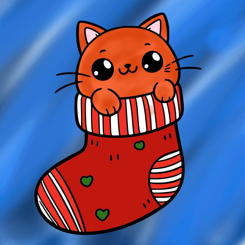 cute cat in a sock