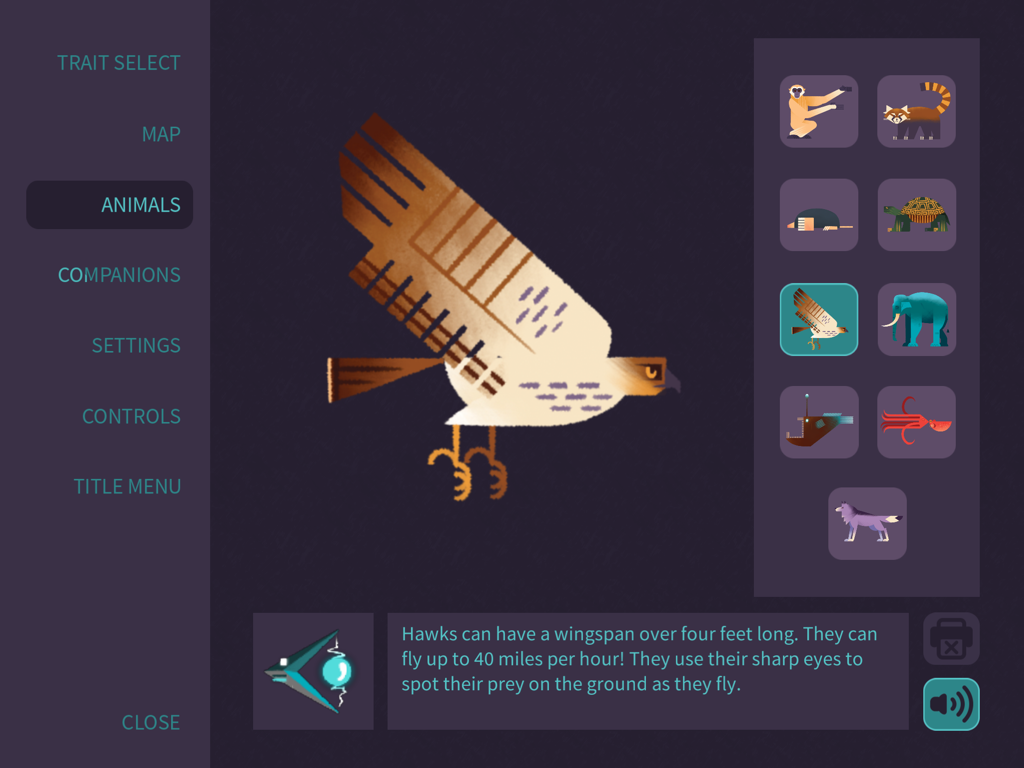 Morphy! - Animal information screen in Morphy app featuring a hawk illustration and biological facts.