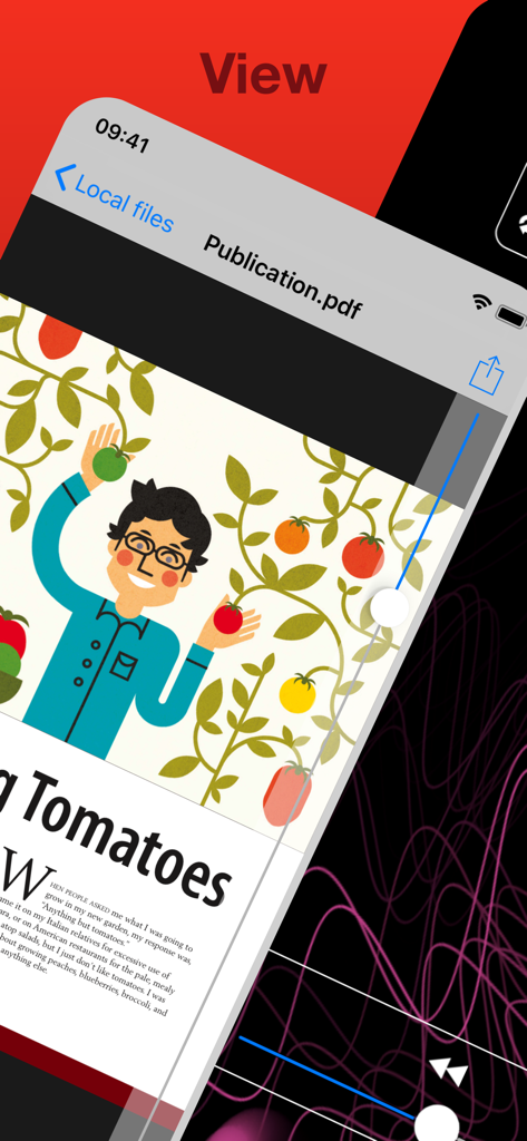 USB Disk Pro for iPhone - iPhone用USB Disk Proのインターフェース。PDFドキュメントと統合ビューアを表示。