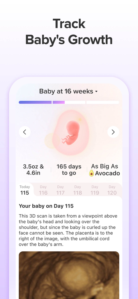Nurture pregnancy app screen tracking baby growth at 16 weeks showing size comparison to an avocado