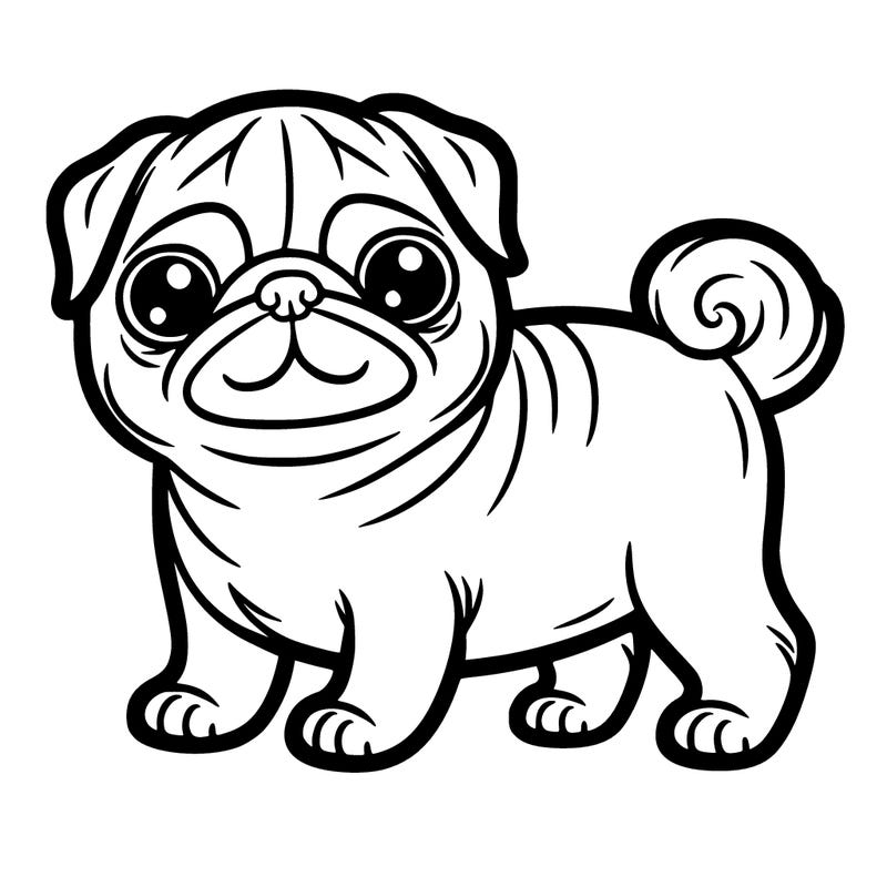 pug