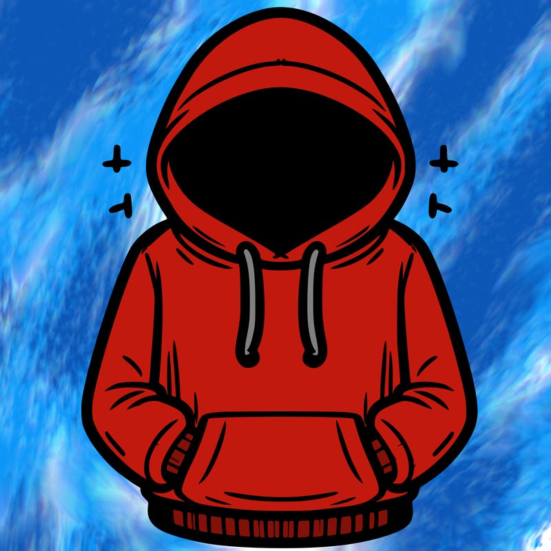 hoodie