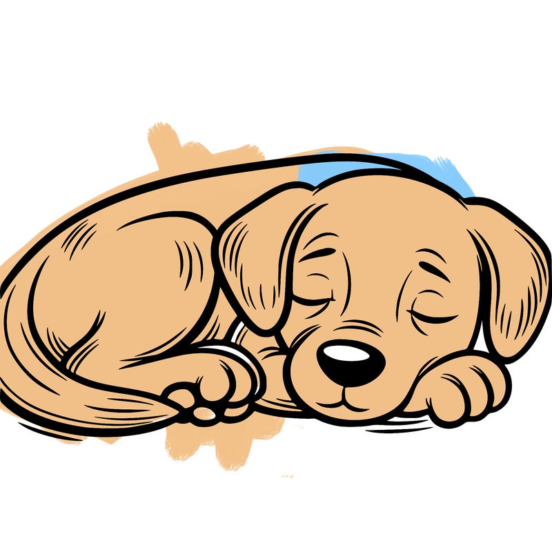 a dog sleeping