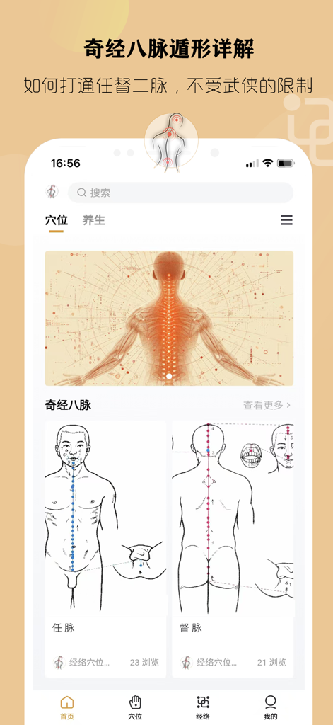 Oberfläche einer TCM-App, die 3D-anatomische Modelle und Meridian-Diagramme für Akupunkturpunkt-Wellness anzeigt.