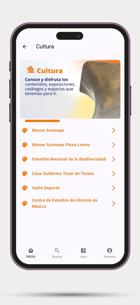 Sezione Cultura dell'app Aprende che mostra un elenco di musei e siti culturali messicani