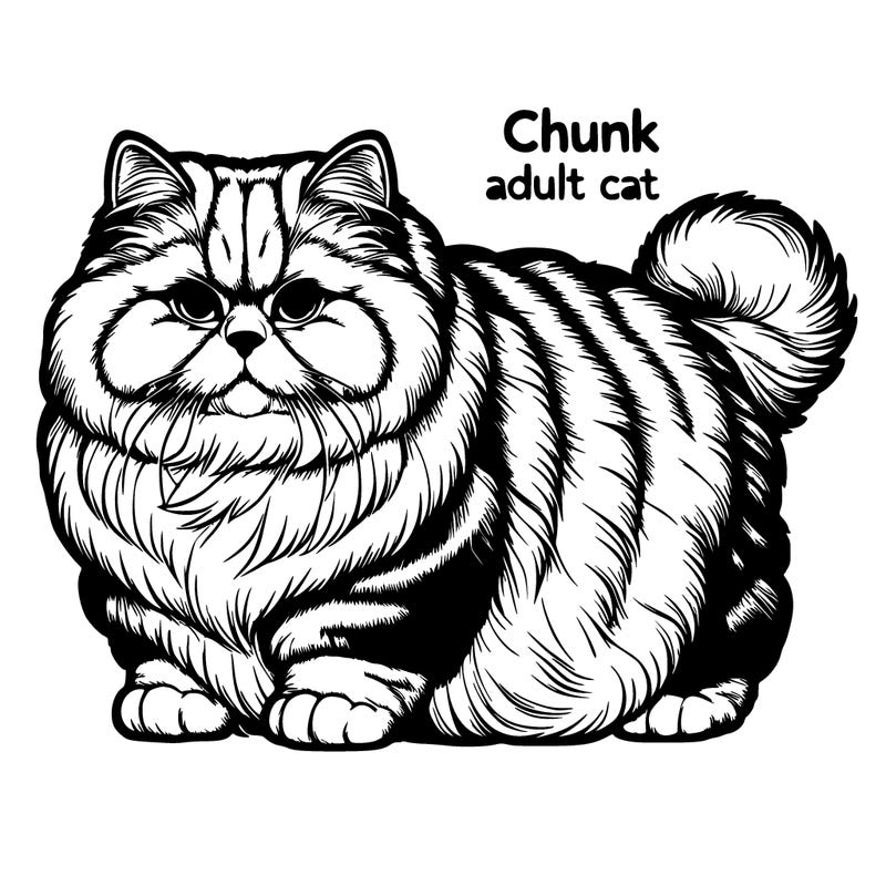 realistic chunk and fluffy adult cat
