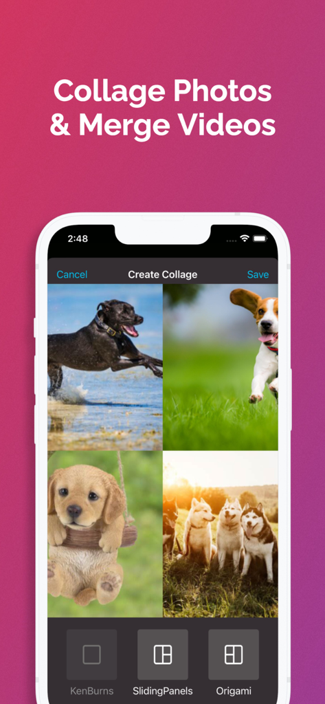 Slideshow with Music Maker App - Une interface mobile pour créer un collage de photos avec des images de chiens et des options de mise en page