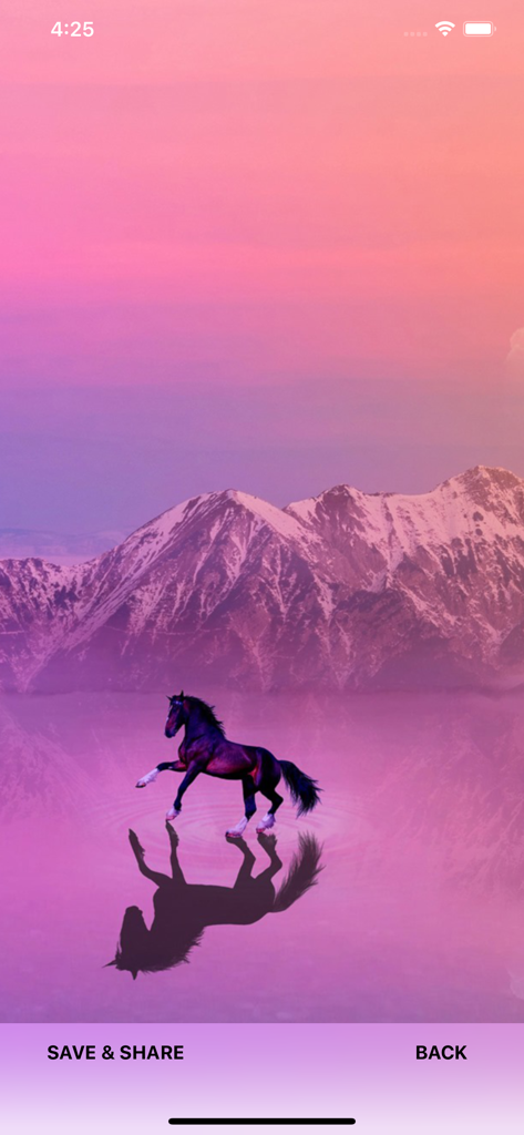 Horse Wallpapers & Backgrounds - Ein schwarzes Pferd steht auf einem spiegelnden lila See vor schneebedeckten Bergen unter einem Sonnenuntergangshimmel