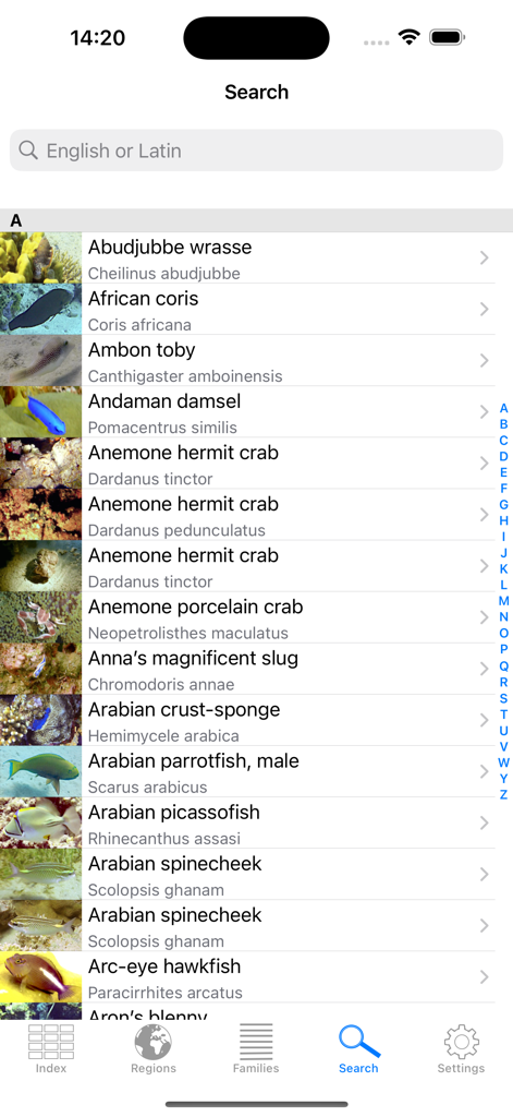 Search results for marine species in the Reef Guide app showing photos with common and Latin names