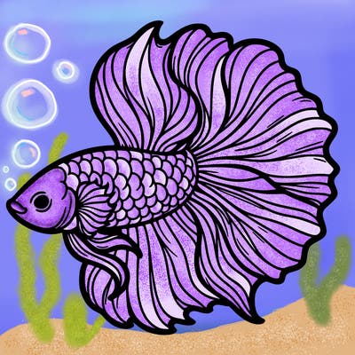 betta fish