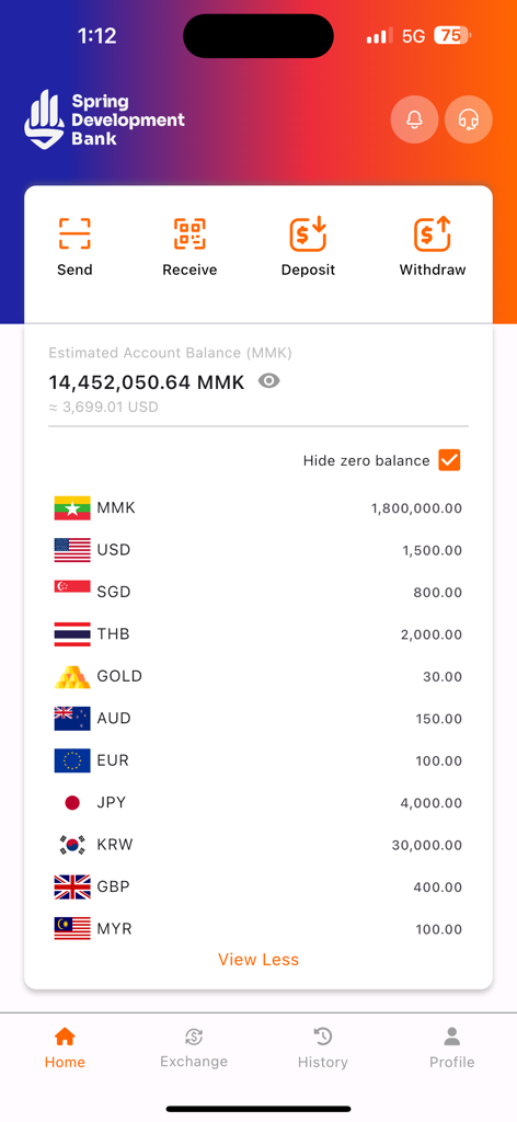 Dashboard der Spring Development Bank mobilen App, das Kontostand und Multi-Währungs-Wallet-Optionen anzeigt