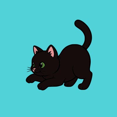 black cute cat