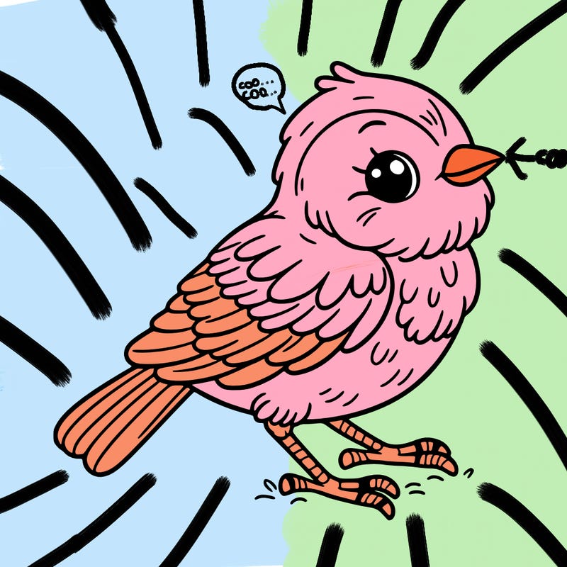 bird