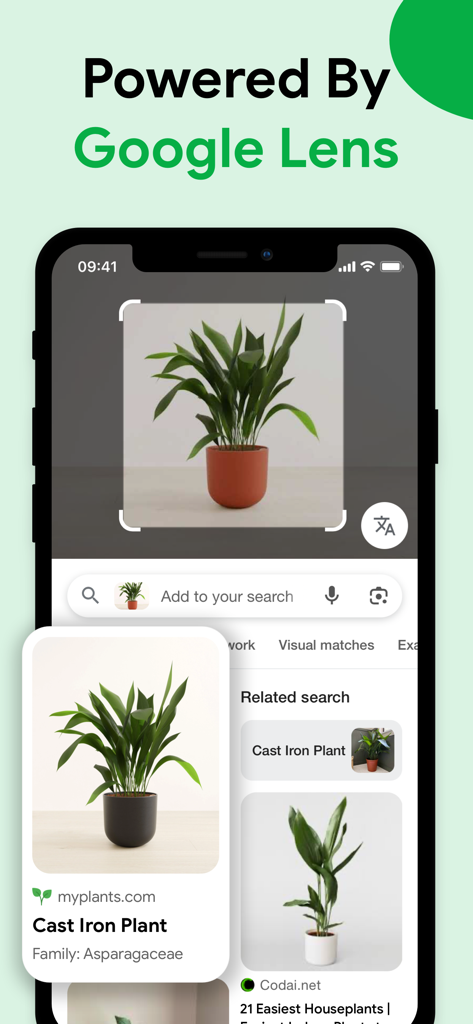 Google Lensの画像検索機能を使用して植物を識別するモバイルアプリのインターフェースを示しています。