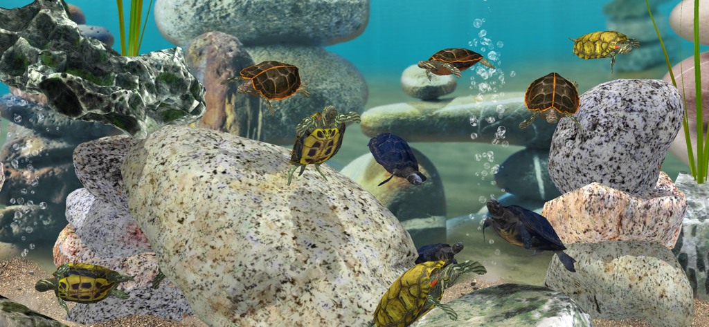 Fish Farm 3 - Aquarium - Realistic 3D turtles swimming around rocks in a virtual aquarium environment