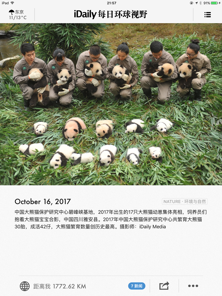 Screenshot of the iDaily news app showing baby pandas and their caretakers at a conservation center