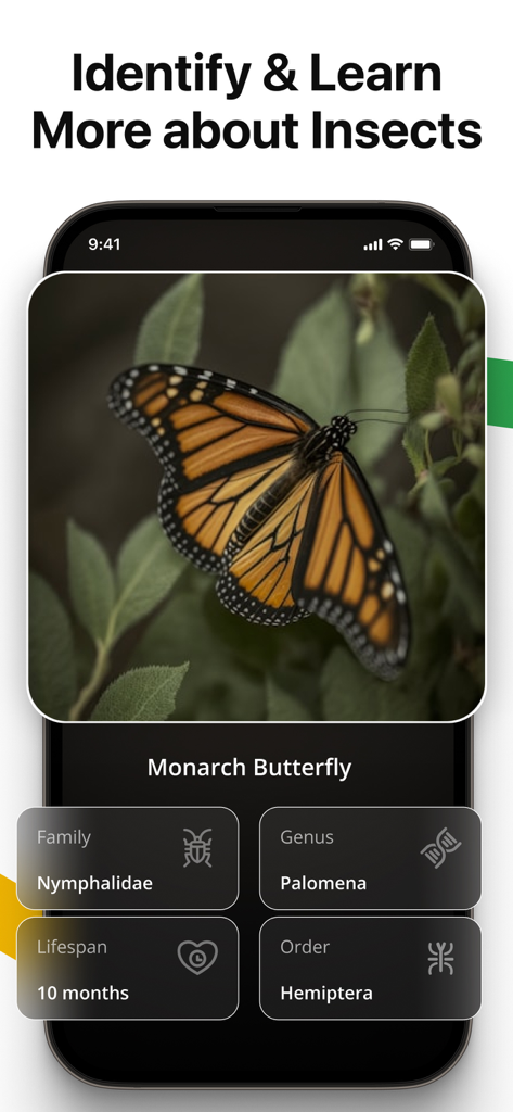 Smartphone screen using Lens AI to identify a monarch butterfly with scientific classification and lifespan details