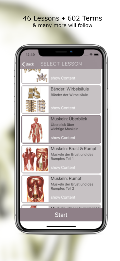 Anatomy Quiz Lite - Anatomy Quiz Lite mobile app displaying a menu of anatomy lessons including muscles and spinal column