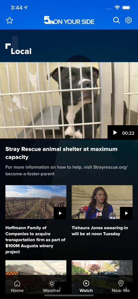 St. Louis News from KSDK - KSDK local news app interface showing St. Louis headlines about animal shelters and local government.