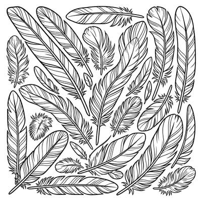 Dive into the fascinating world of prehistoric creatures with this unique Velociraptor Feathers coloring page. Explore a variety of intricate feather patterns, offering a fun and educational coloring experience.