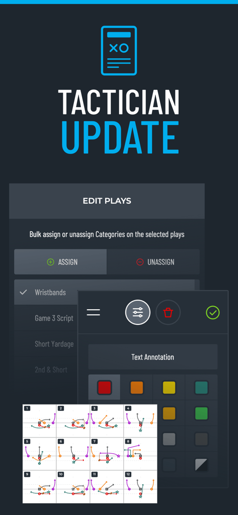 Flag Football Playmaker X - Screenshot of the Flag Football Playmaker X tactician update screen featuring play editing and text annotation tools.