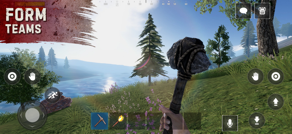 First person view of a player holding a stone tool in an open world environment with a Form Teams text overlay.