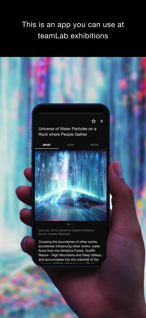 Una persona che tiene uno smartphone mostrando l'app teamLab con la descrizione di un'installazione artistica digitale immersiva