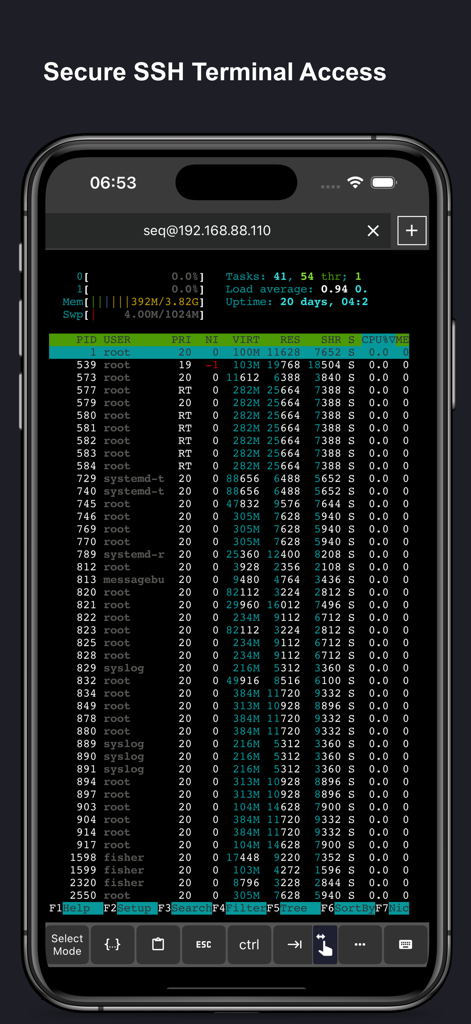 SSH Client Pro - Stats & Shell - Secure SSH terminal interface on iPhone showing live server process monitoring and resource usage