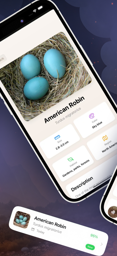 Bird Egg Collection Ai - 空色のタイトスカートを履いたアメリカコマドリの卵を識別する鳥の卵コレクションAIアプリ画面。