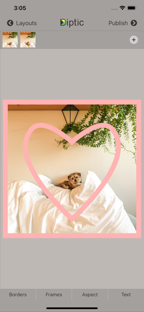 Diptic - Diptic app interface showing a puppy photo with a pink heart frame overlay
