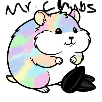 a cute hamster big and chubby