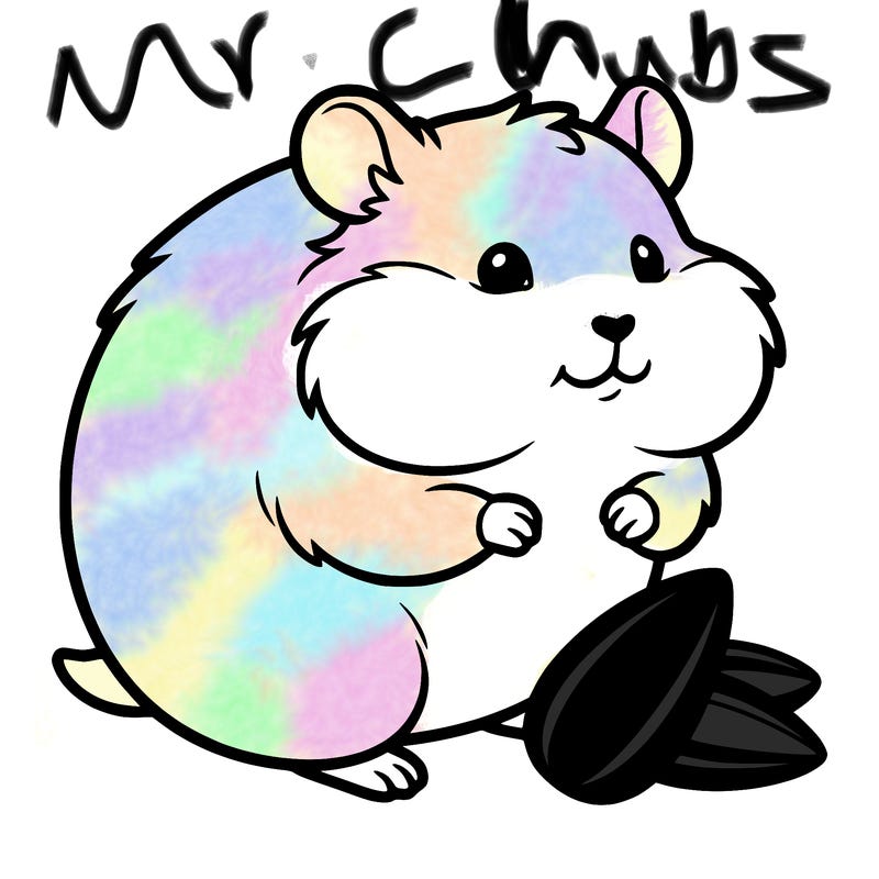 a cute hamster big and chubby