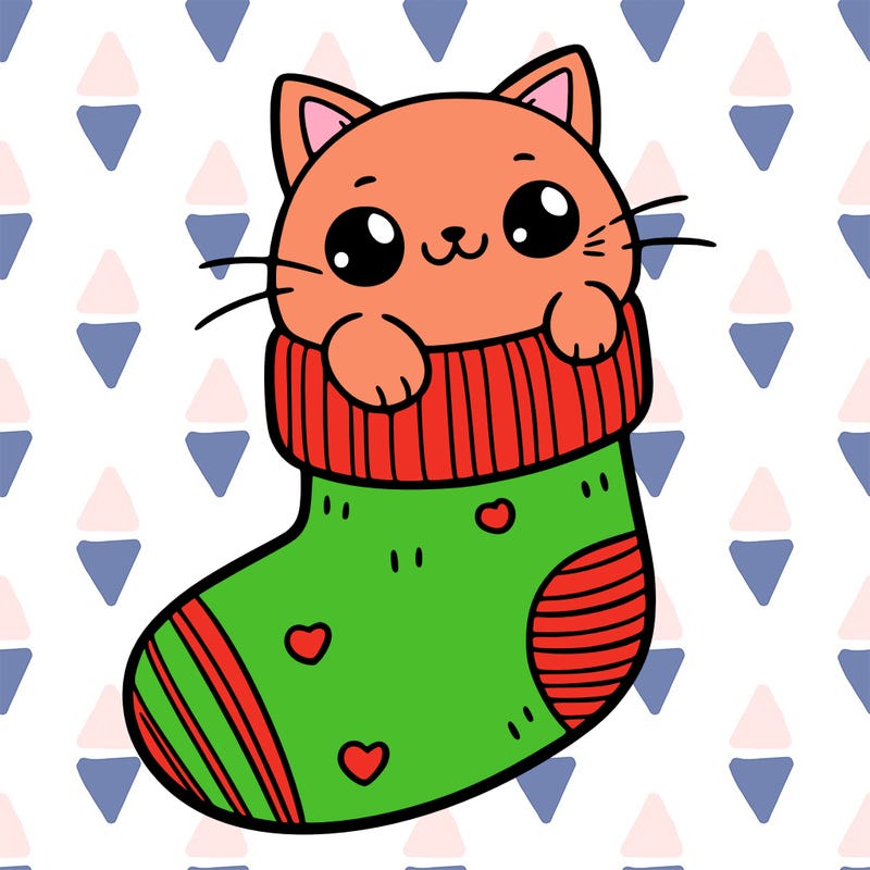 cute cat in a sock
