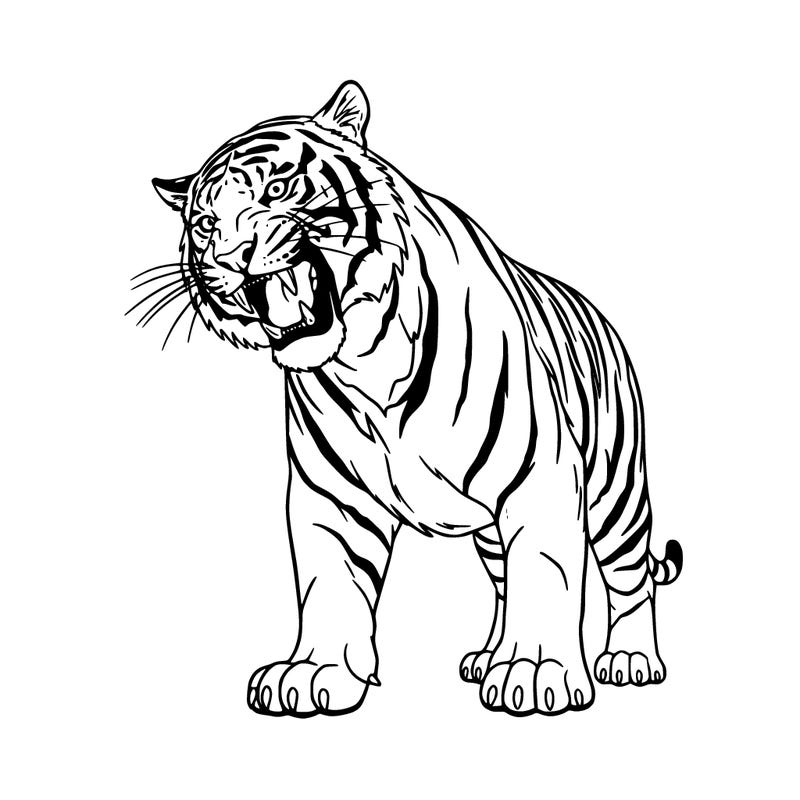 tiger