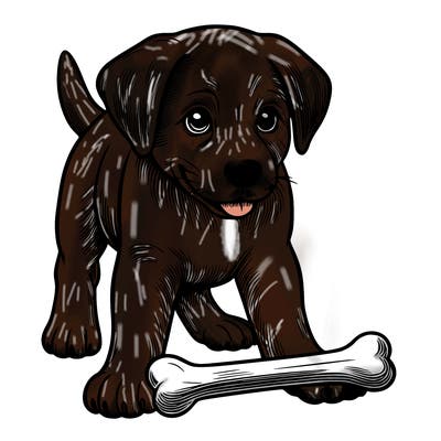 dog with a bone realistic