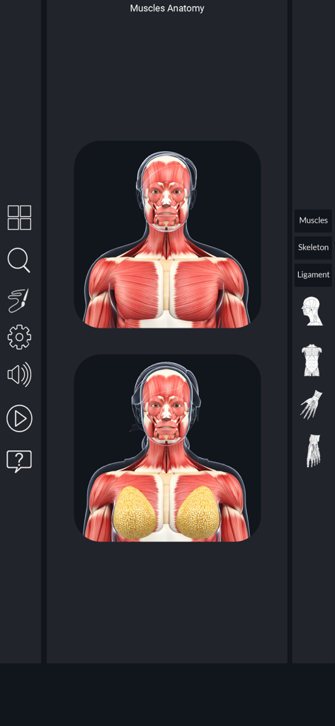 Interface mostrando modelos de anatomia muscular 3D masculino e feminino com ferramentas de navegação.