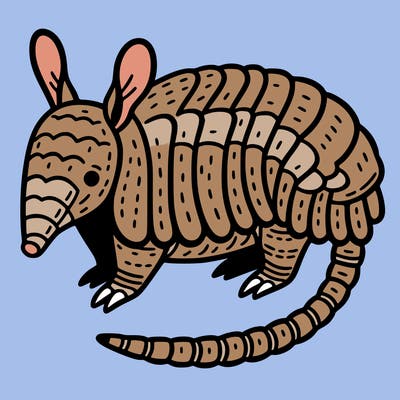 an armadillo