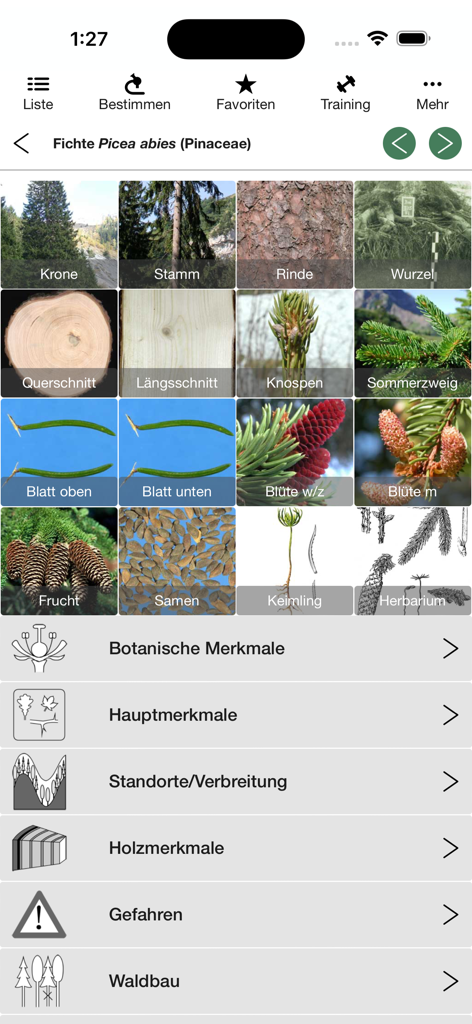 iForest - Trees & Bushes - Reference App | MWM