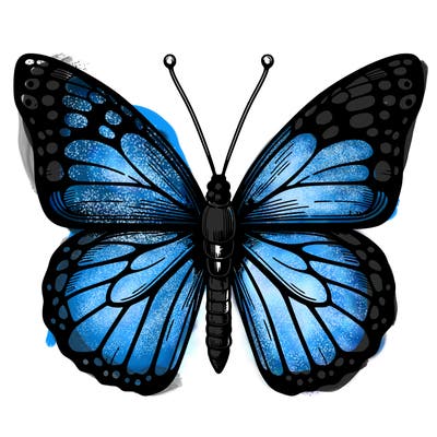 realistic butterfly